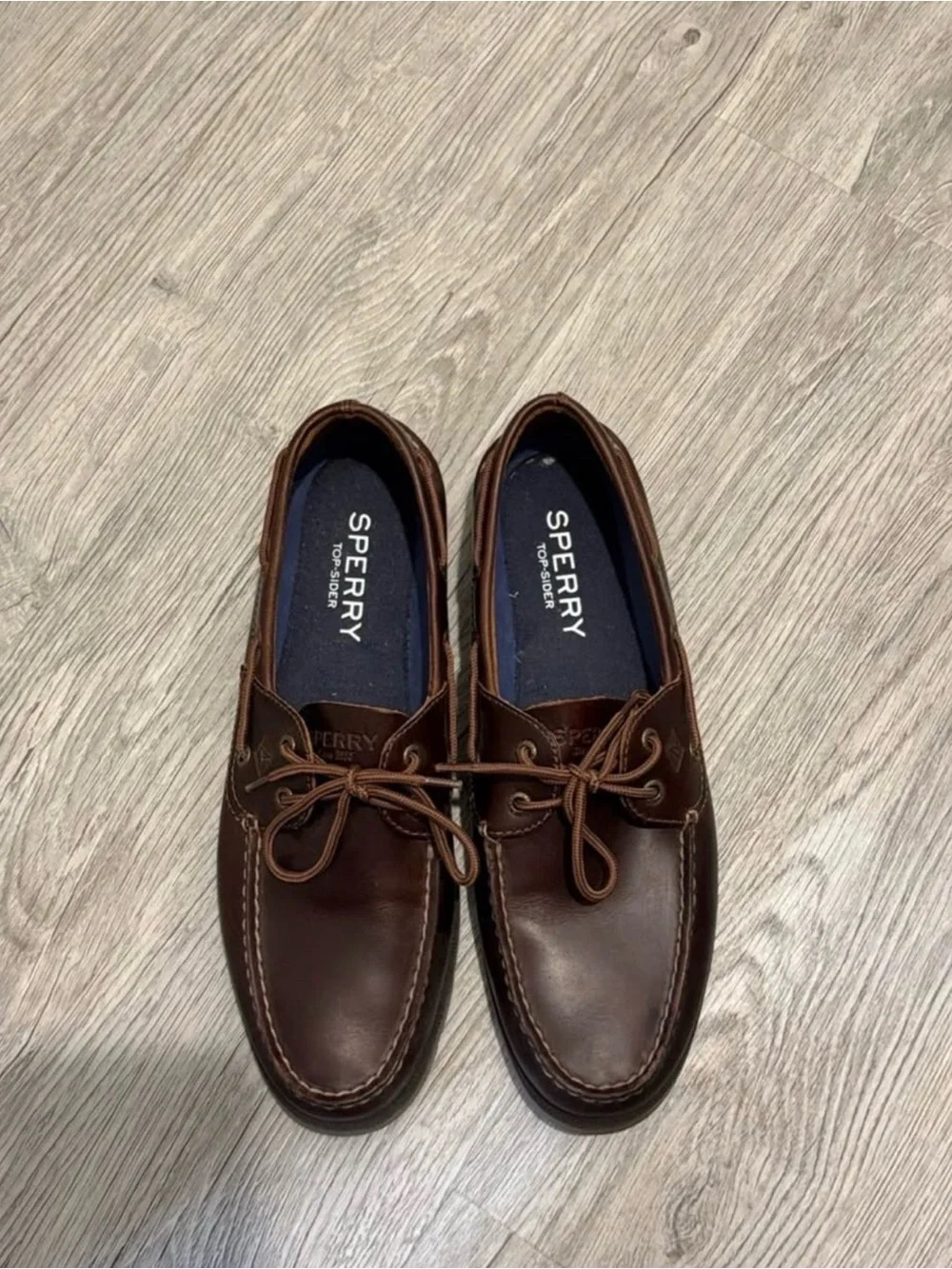 Sperry Men's Dark Brown Leather Boat Shoes